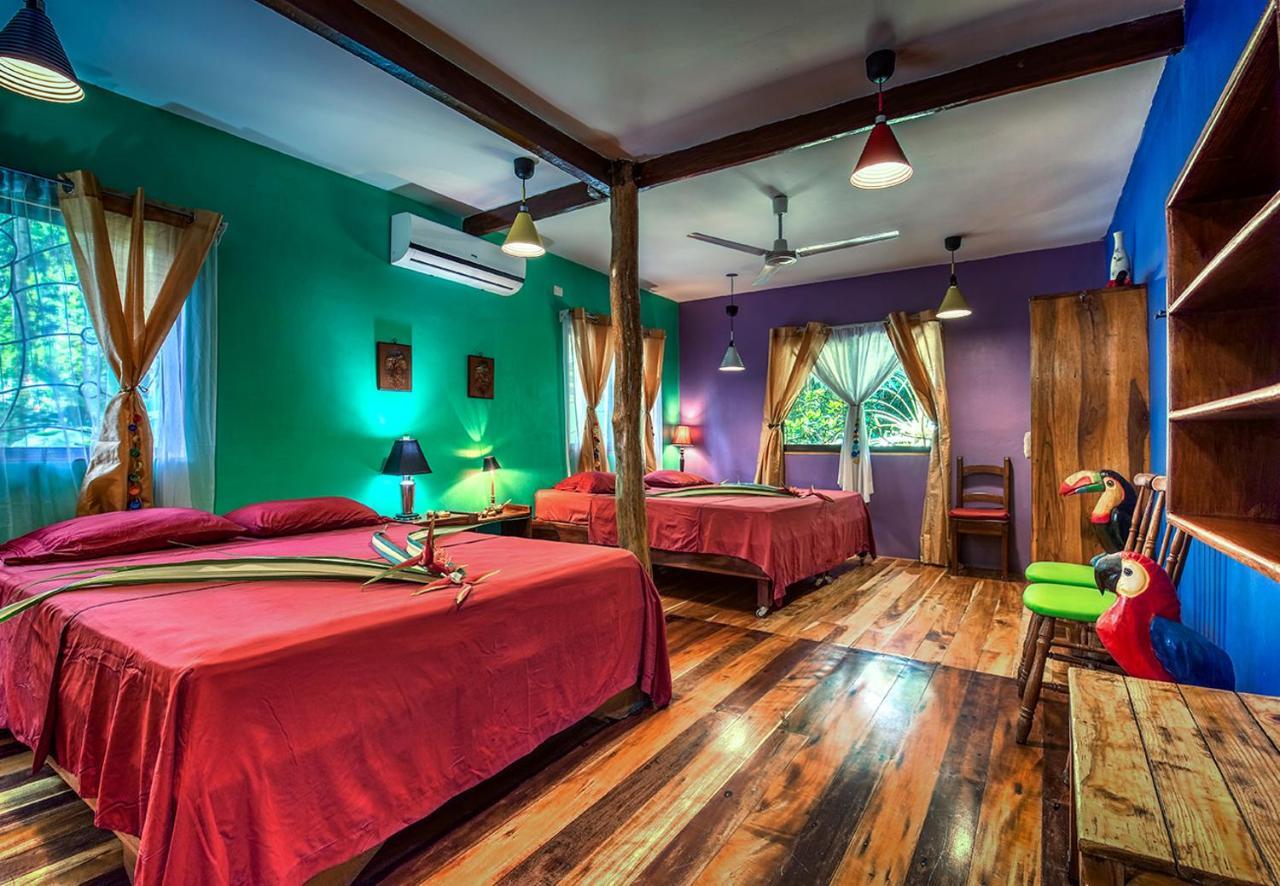 Congo Bongo Ecovillage Costa Rica Puerto Viejo de Talamanca Buitenkant foto