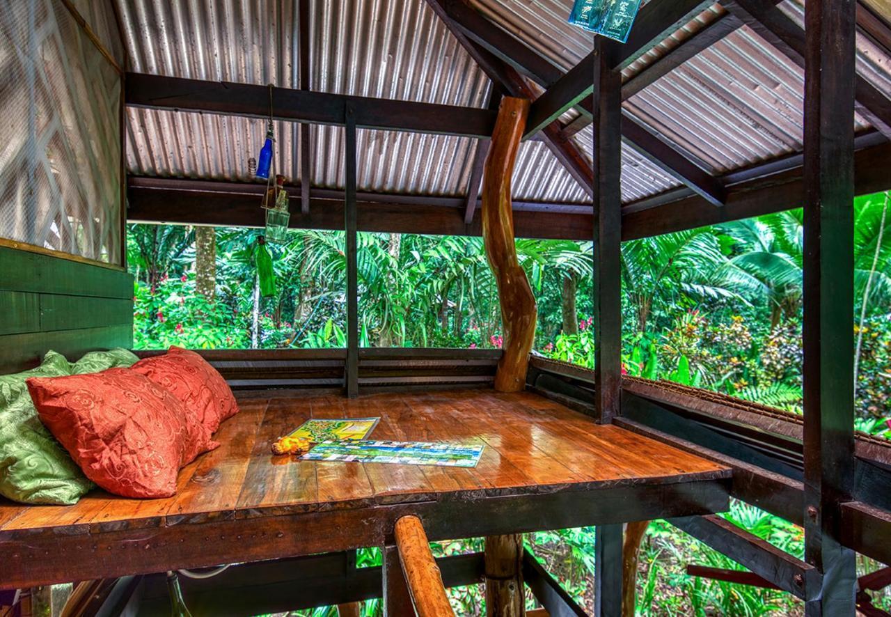 Congo Bongo Ecovillage Costa Rica Puerto Viejo de Talamanca Buitenkant foto