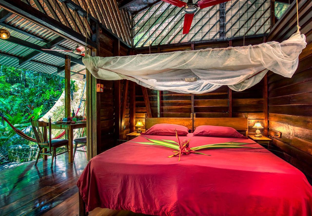 Congo Bongo Ecovillage Costa Rica Puerto Viejo de Talamanca Buitenkant foto