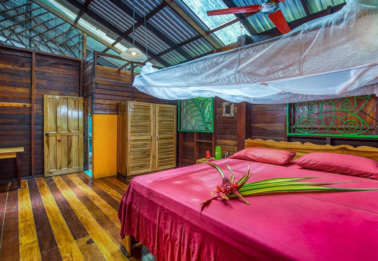 Congo Bongo Ecovillage Costa Rica Puerto Viejo de Talamanca Buitenkant foto